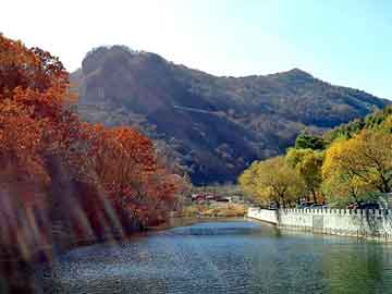 正版澳门天天开彩大全，佛山至山东物流